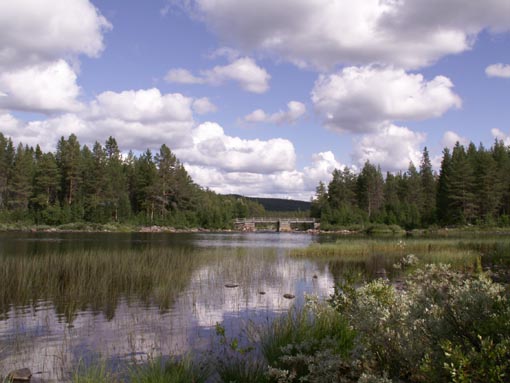 KONICA MINOLTA DIGITAL CAMERA