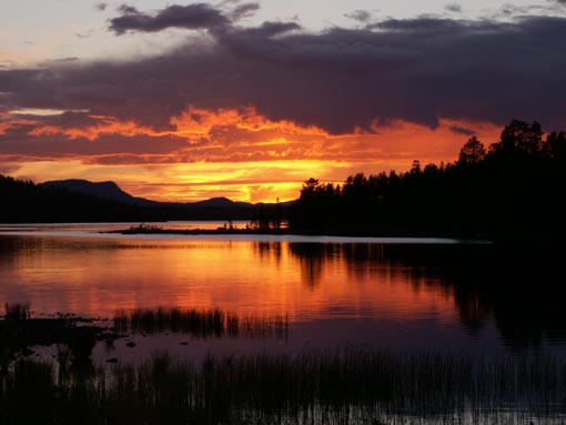 KONICA MINOLTA DIGITAL CAMERA