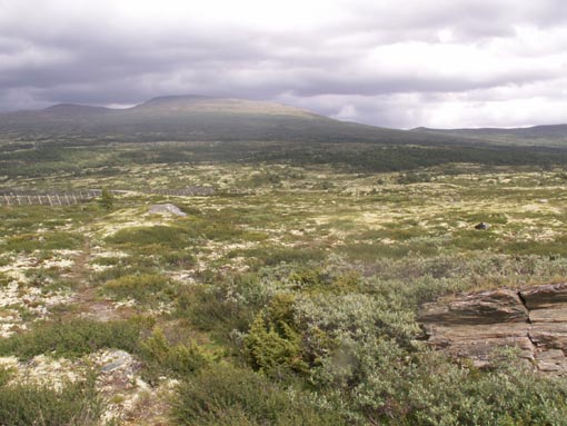 KONICA MINOLTA DIGITAL CAMERA