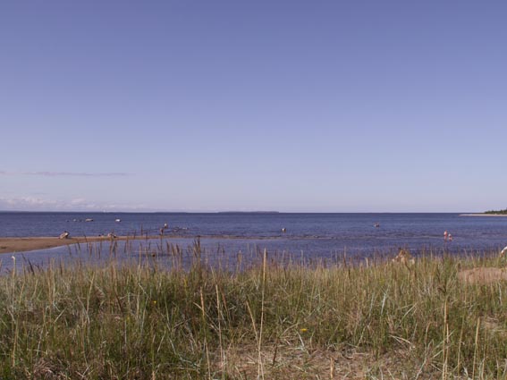 KONICA MINOLTA DIGITAL CAMERA