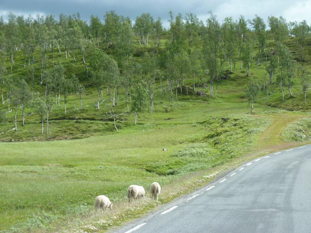 001 2012-07-25 004 Saltstraumen-Misvaer-Rognan