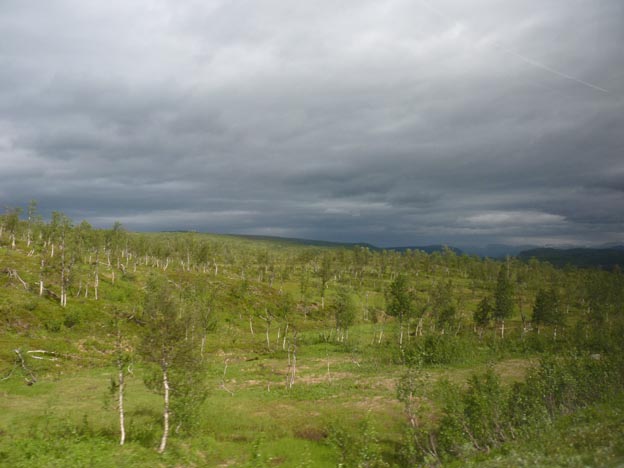 002 2012-07-25 007 Saltstraumen-Misvaer-Rognan