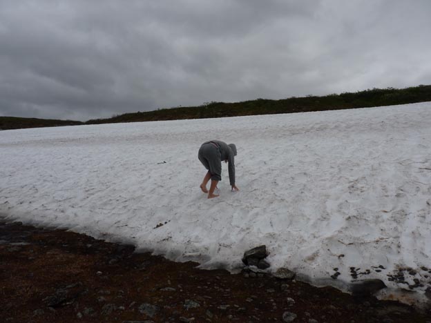 007 2012-07-25 027 E6 Rognan-Mo i Rana