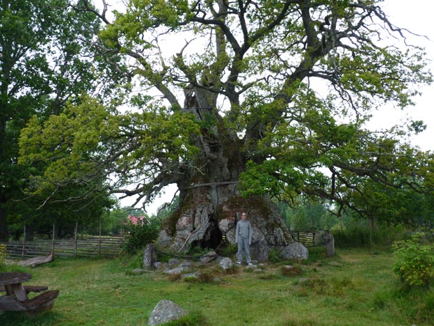 001 2012-08-06 007 Kvilleken