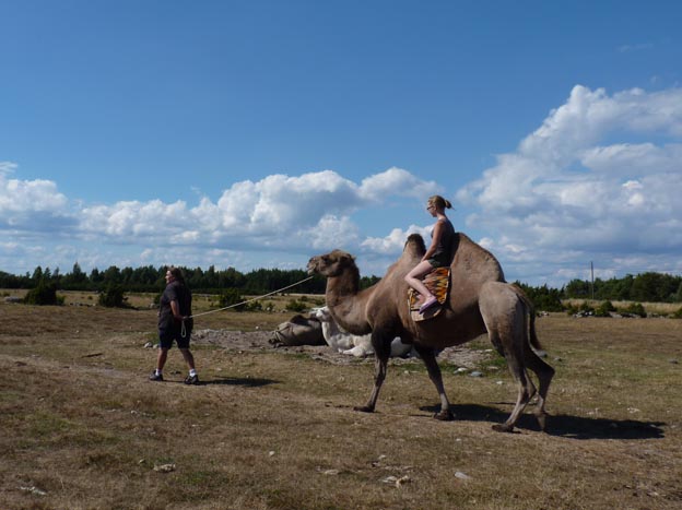 002 2012-08-04 009 Kamelridning