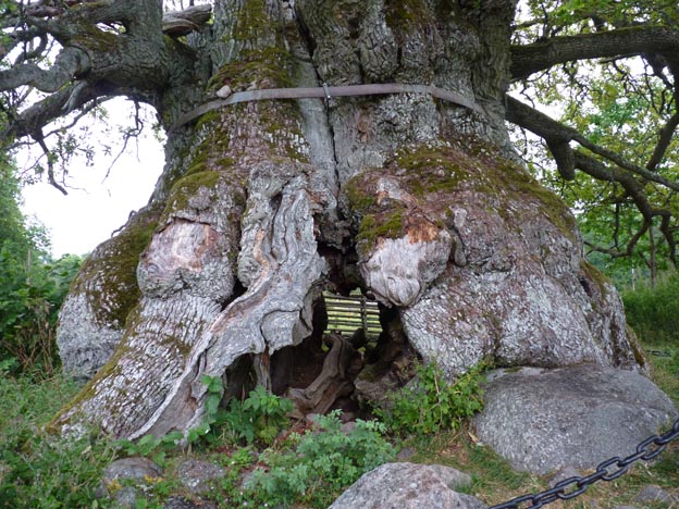 002 2012-08-06 003 Kvilleken