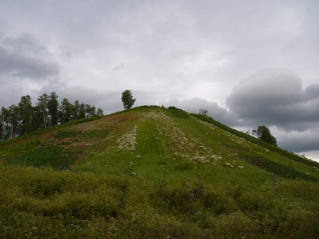 007 2012-07-28 008 Ammarnäs