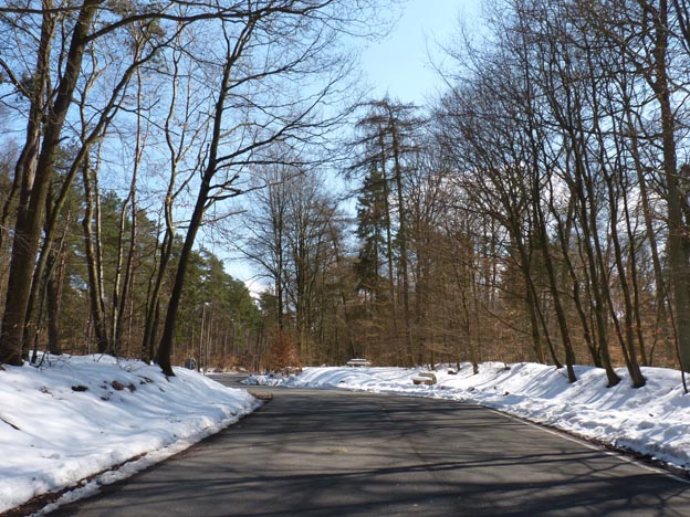 005 2013-04-02 010 Väg 216