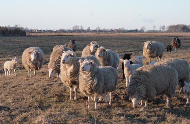 022 2013-04-01 054 Tönning Lilienhof Camping