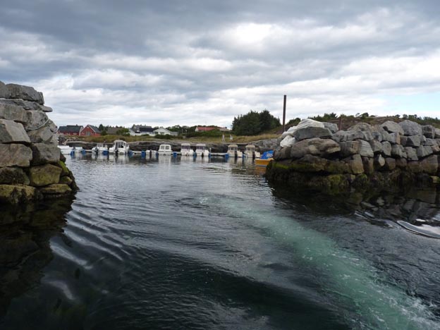 001 2013-07-29 002 Bud