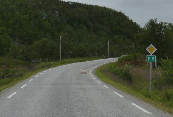 004 2013-07-19 014 E6