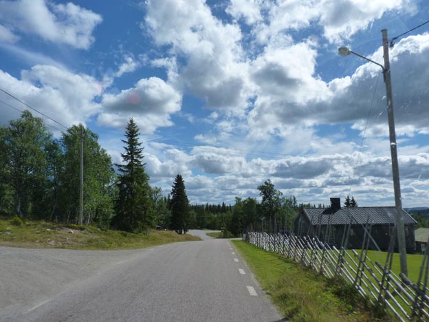 004 2013-08-04 006 Väg 311