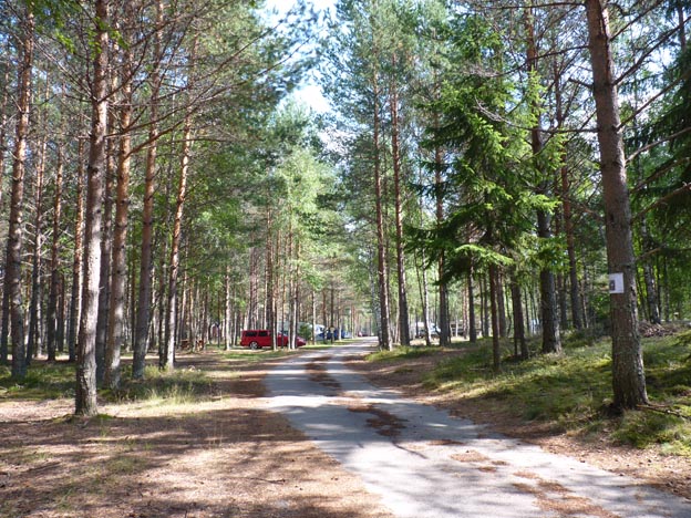 004 2013-08-07 009 Hedtjärn