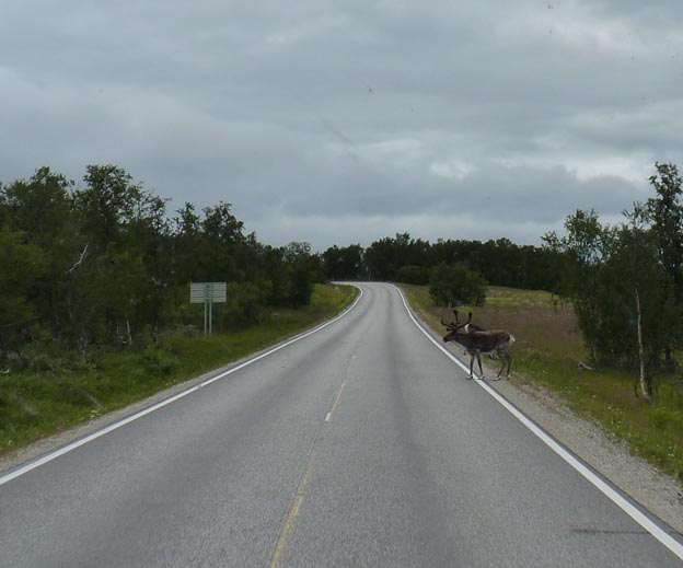 005 2013-07-19 015 E6