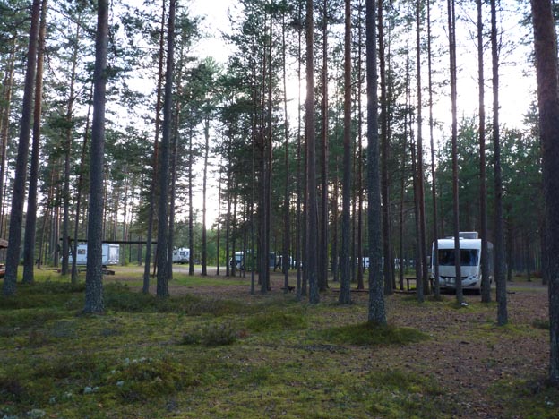 005 2013-08-07 043 Hedtjärn