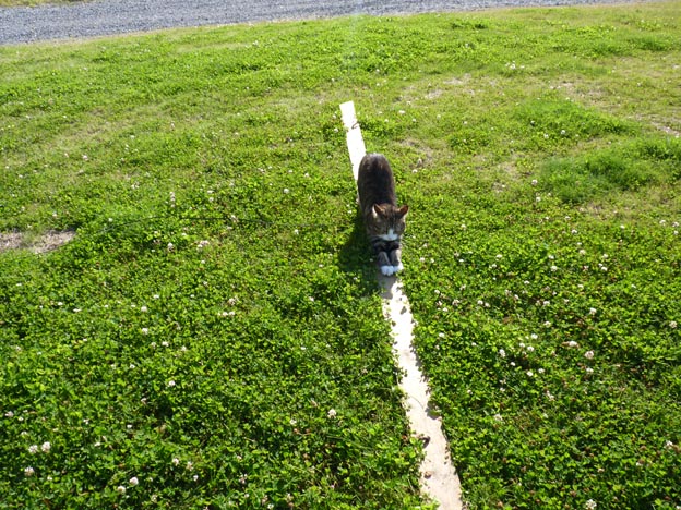 006 2013-07-16 019 Kukkolaforsen