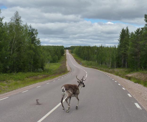 007 2013-07-17 011 väg 99