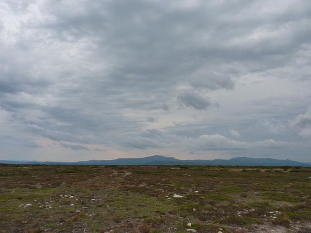 007 2013-08-03 013 Flatruet