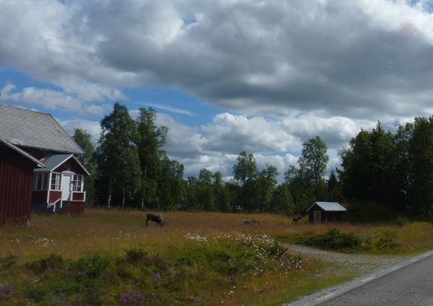 007 2013-08-04 009 Väg 311