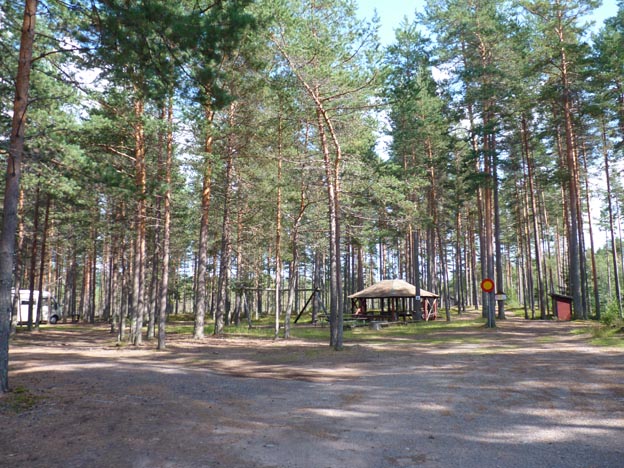 007a 2013-08-07 010 Hedtjärn