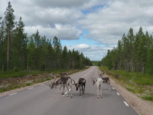 008 2013-07-17 014 väg 99