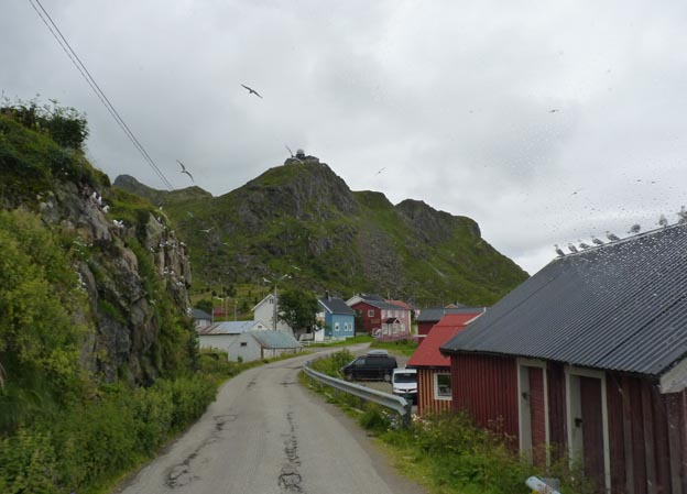 008 2013-07-22 037 Sör