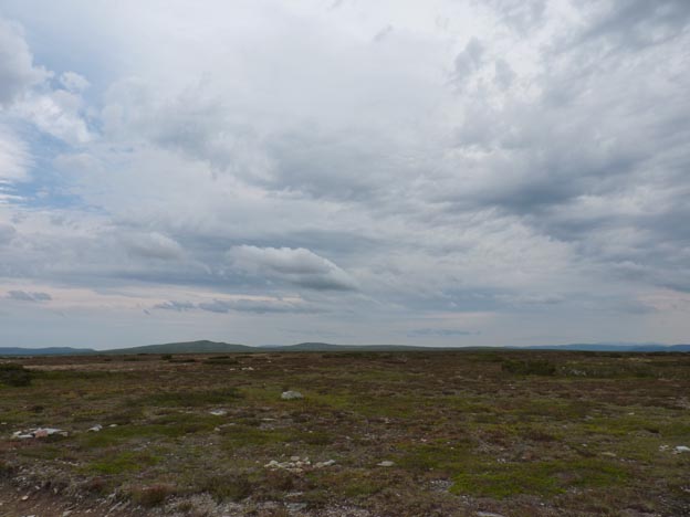 008 2013-08-03 014 Flatruet