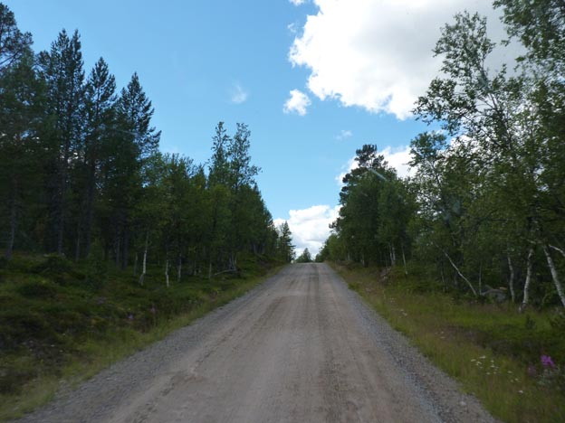 008 2013-08-04 011 Sörvattnet-Idre