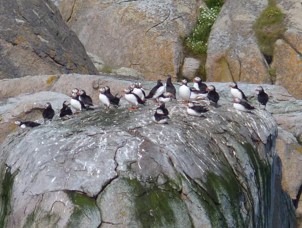 009 2013-07-23 027 Sör