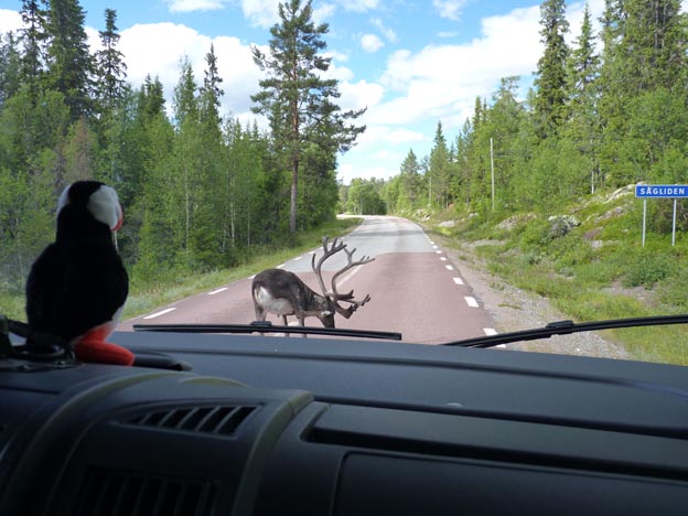 010 2013-08-04 017 Foskros-Grövelsjön