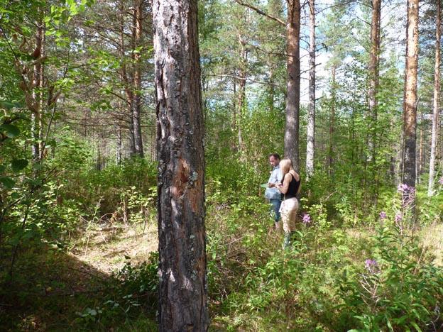 011 2013-08-05 023 Lokrakan Mitt