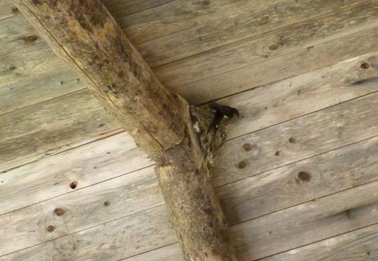 011 2013-08-07 004 Hedtjärn