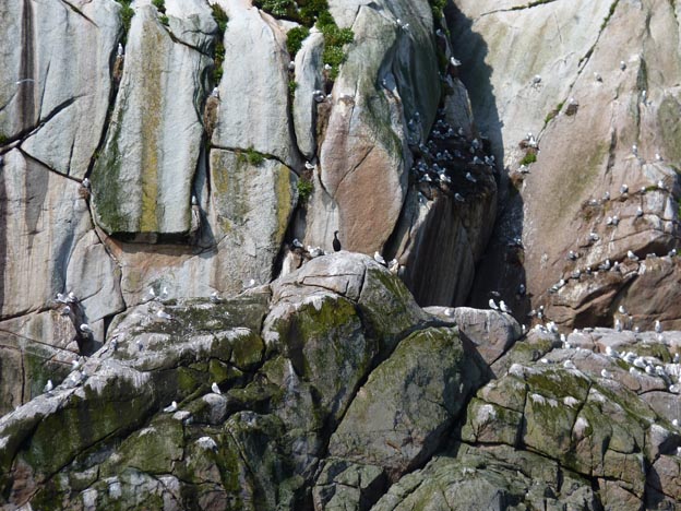 012 2013-07-23 037 Sör