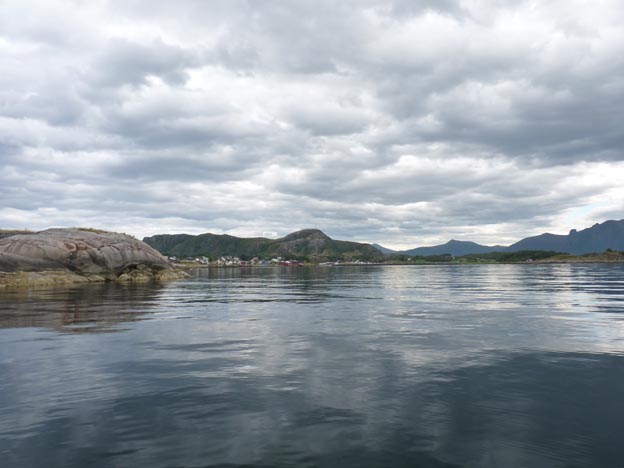 012 2013-07-29 017 Bud