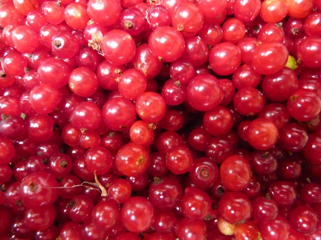 012 2013-08-05 024 Lokrakan Mitt