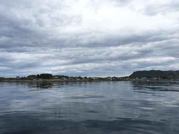 013 2013-07-29 022 Bud