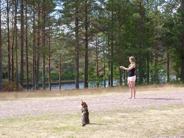 013 2013-08-05 015 Lokrakan Mitt