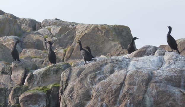 014 2013-07-23 151 Sör