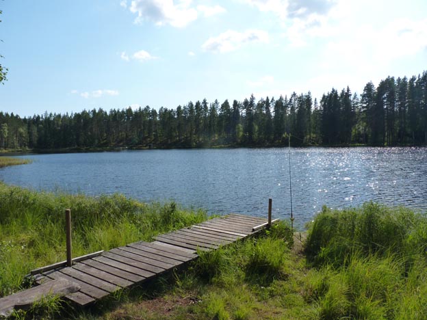 014 2013-08-07 014 Hedtjärn