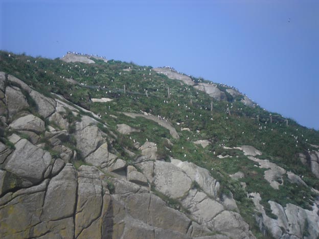 015 2013-07-23 041c Sör