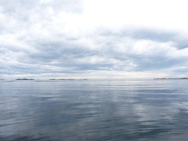 015 2013-07-29 014 Bud