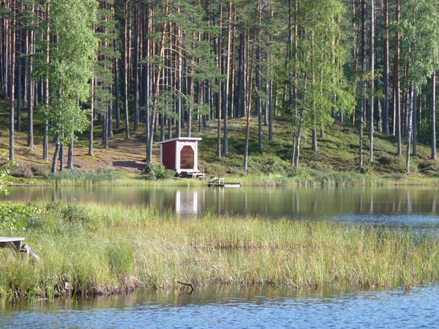 015 2013-08-07 018 Hedtjärn