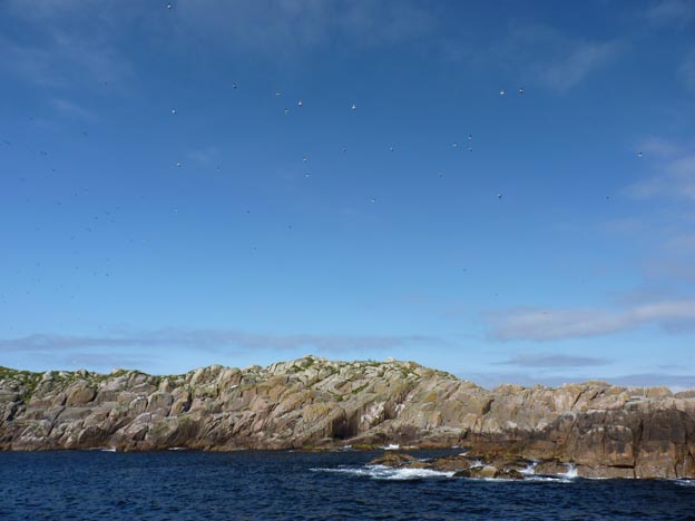 016 2013-07-23 042 Sör