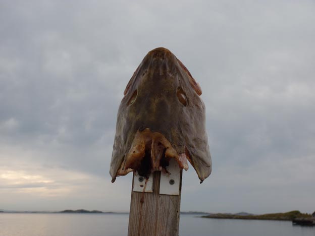 017 2013-07-28 033 Bud Pluscamp