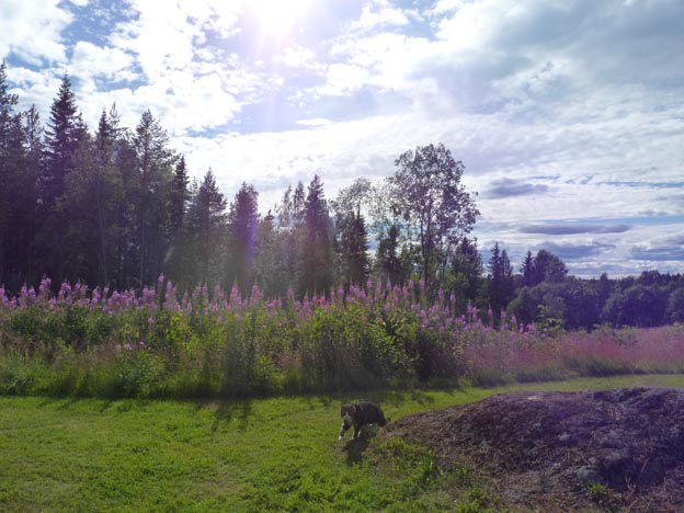 018 2013-07-14 045 Lufta Camping