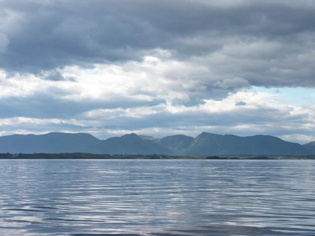 018 2013-07-29 023 Bud