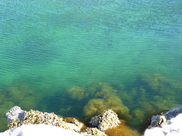 019 2013-07-22 103 Sör