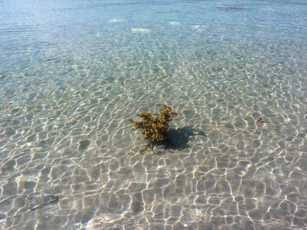 019 2013-07-25 016 E6 Ballangen Camping