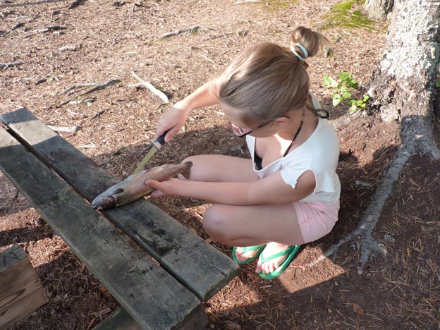 019 2013-08-07 036 Hedtjärn