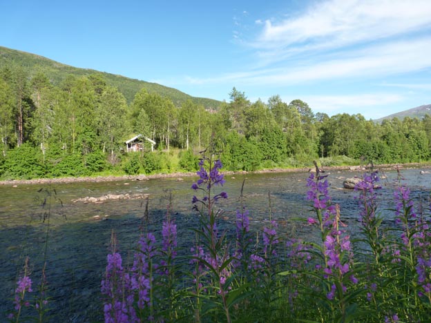 020 2013-07-26 025 E6 Krokstrand Camping